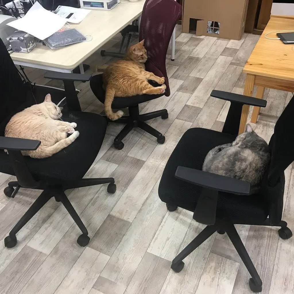 Athletic Backpack - Image 1